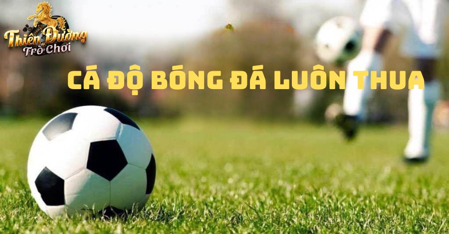 Cá độ bóng đá luôn thua